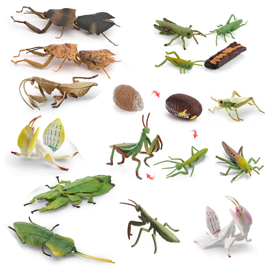 Interior Design House - Realistische Orchideen-Mantis, tote Blatt-Mantis, riesiges Blattinsektenmodell,