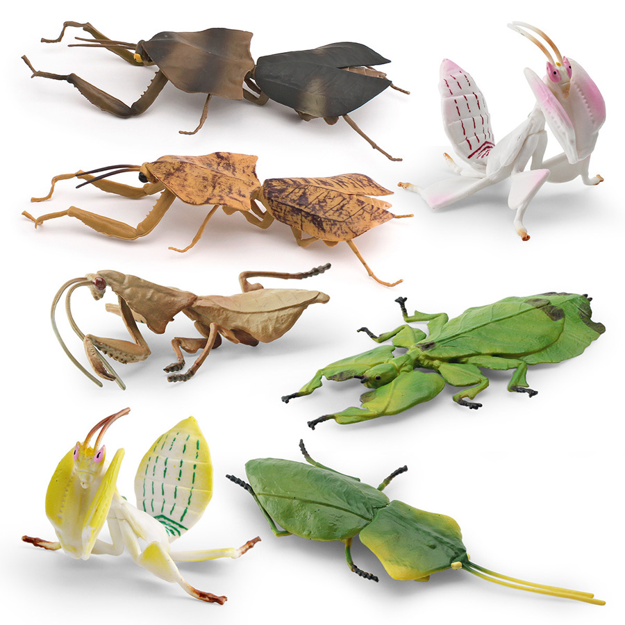 Realistische Orchideen-Mantis, – Interior Design House Bewertung und Preis