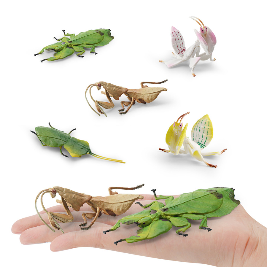 Realistische Orchideen-Mantis, – Interior Design House Bewertung und Preis